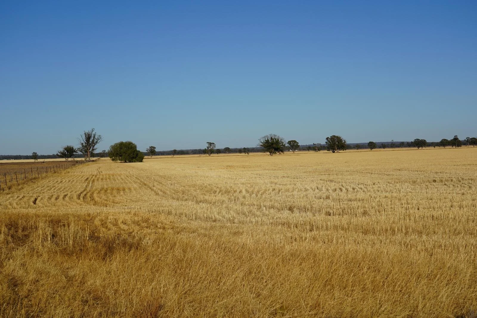 Image 16