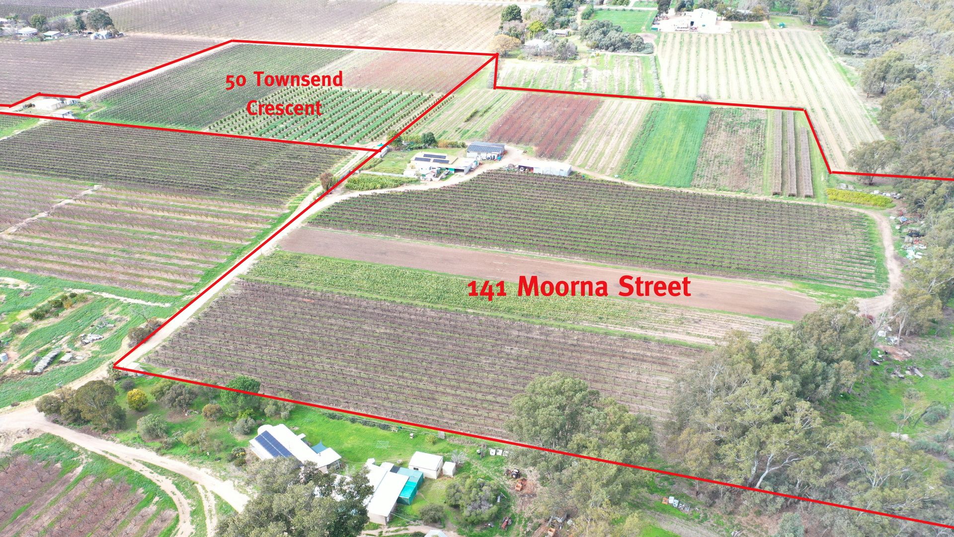 141 Moorna Street, Renmark SA 5341, Image 1