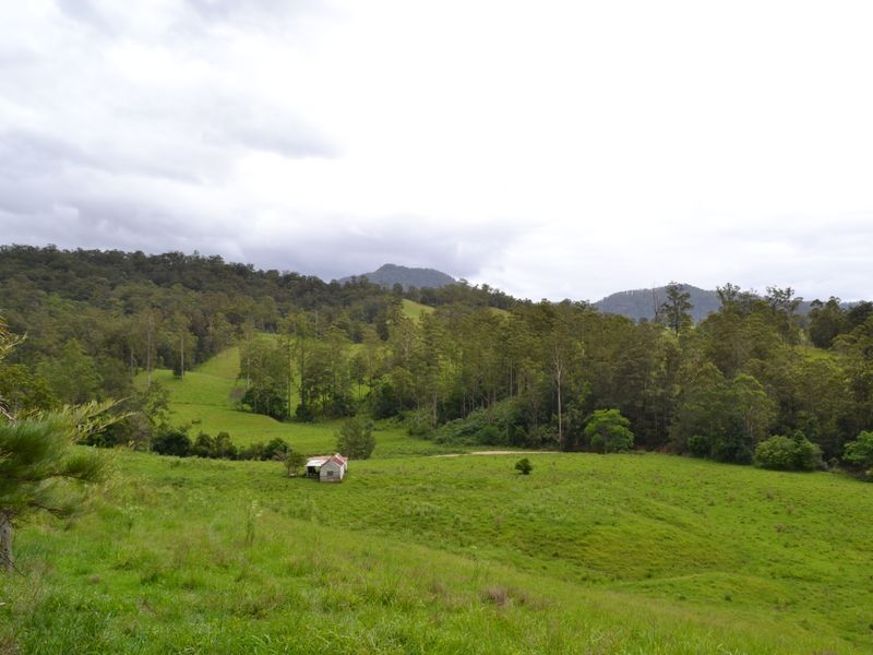 Lot 4 - 206 Upper Buckrabendinni Road, Buckra Bendinni NSW 2449, Image 2