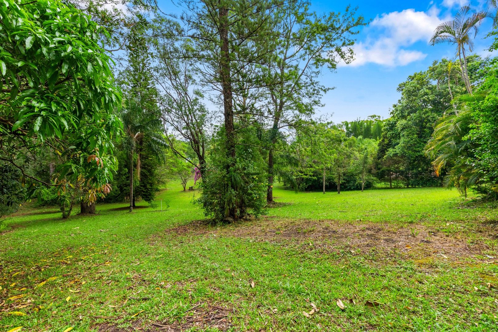 177 Neill Road, Mooloolah Valley QLD 4553, Image 0