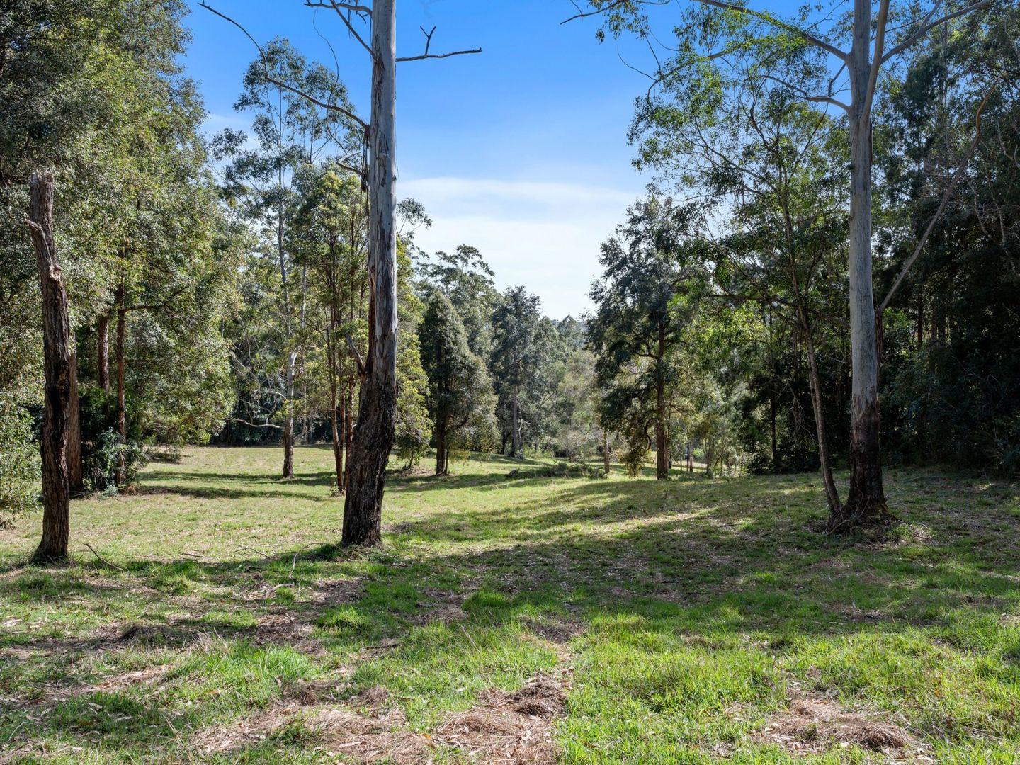 Sherwood NSW 2450, Image 2