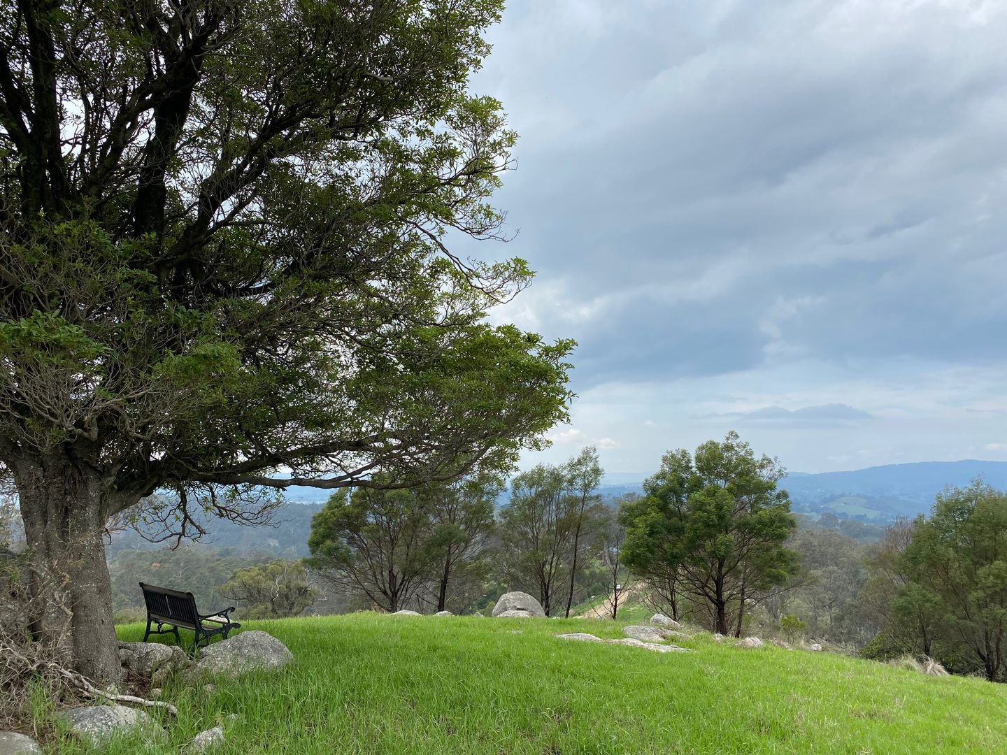 Lot 611 Peak Hill Road, Buckajo NSW 2550, Image 2