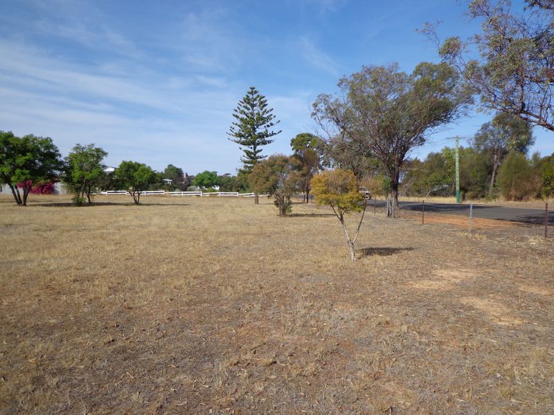 63 Omdurman, Wagin WA 6315, Image 2