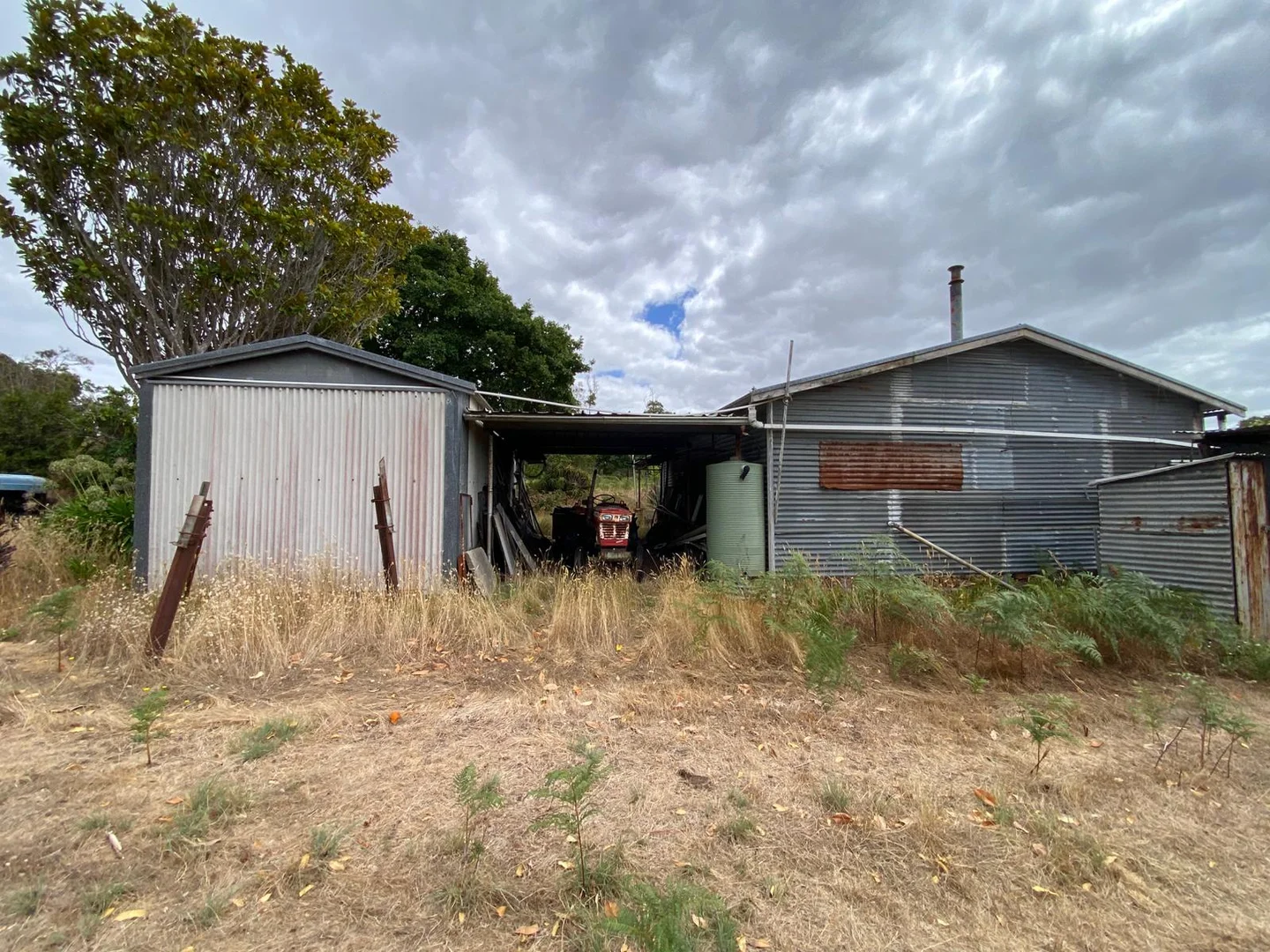 Image 11