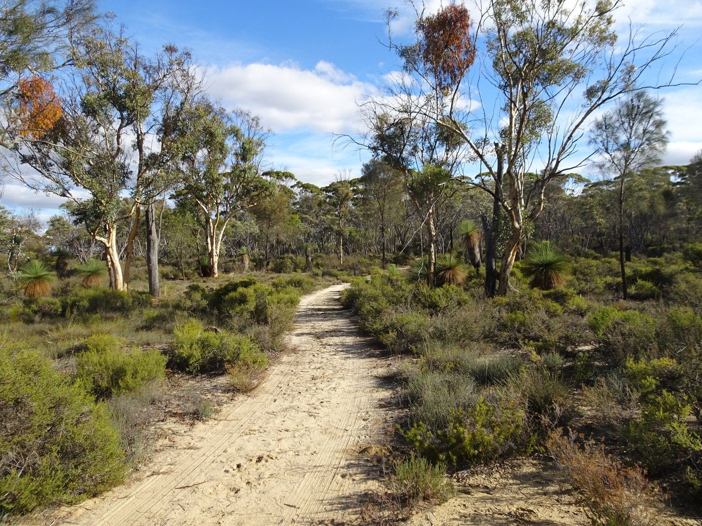 Acreage / Semi-Rural in Proposed Lot C 15231 Great Southern Highway, POPANYINNING WA, 6309