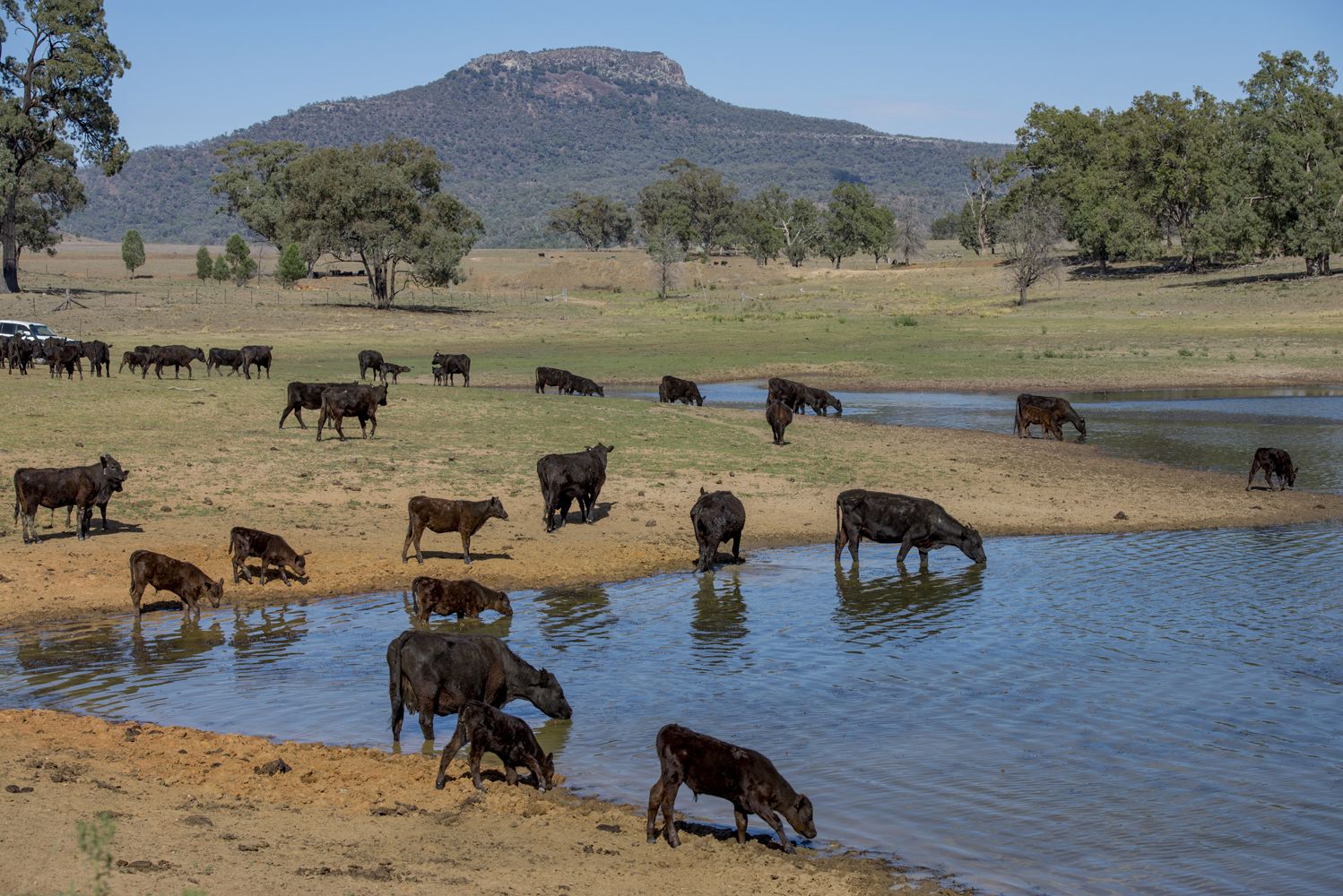 ' MT BULLAWAY STATION', Coonabarabran NSW 2357, Image 0