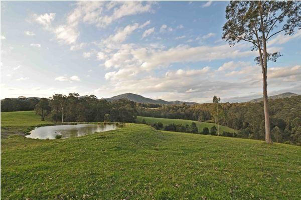 1464 Booral Rd, GIRVAN NSW 2425, Image 2