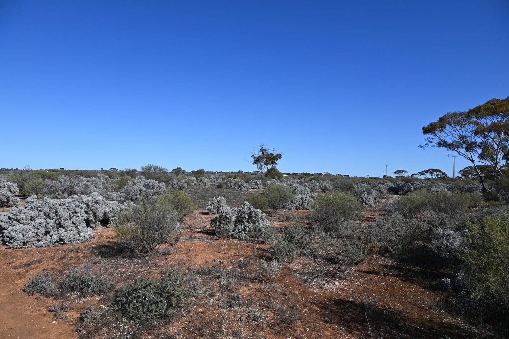 Section 346 Rail Road, Morgan SA 5320, Image 0