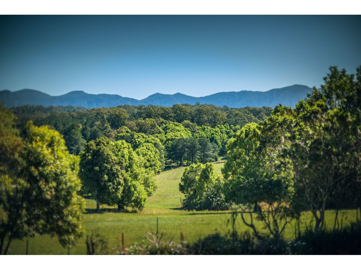 81 North Bank Road, Bellingen NSW 2454, Image 2