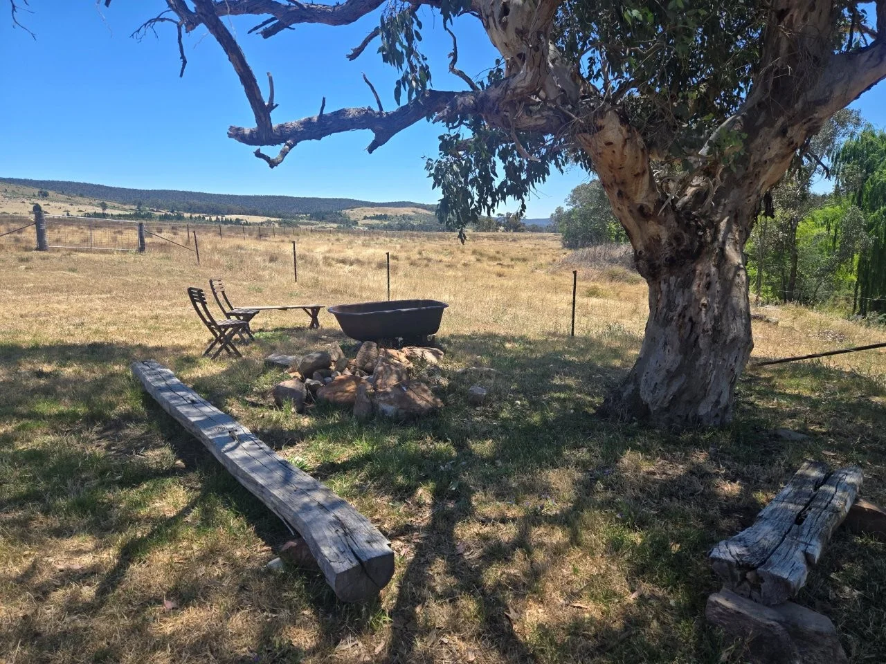 Image 15