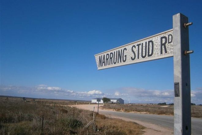 Picture of Lot 6 Narrung Stud Road, NARRUNG SA 5259