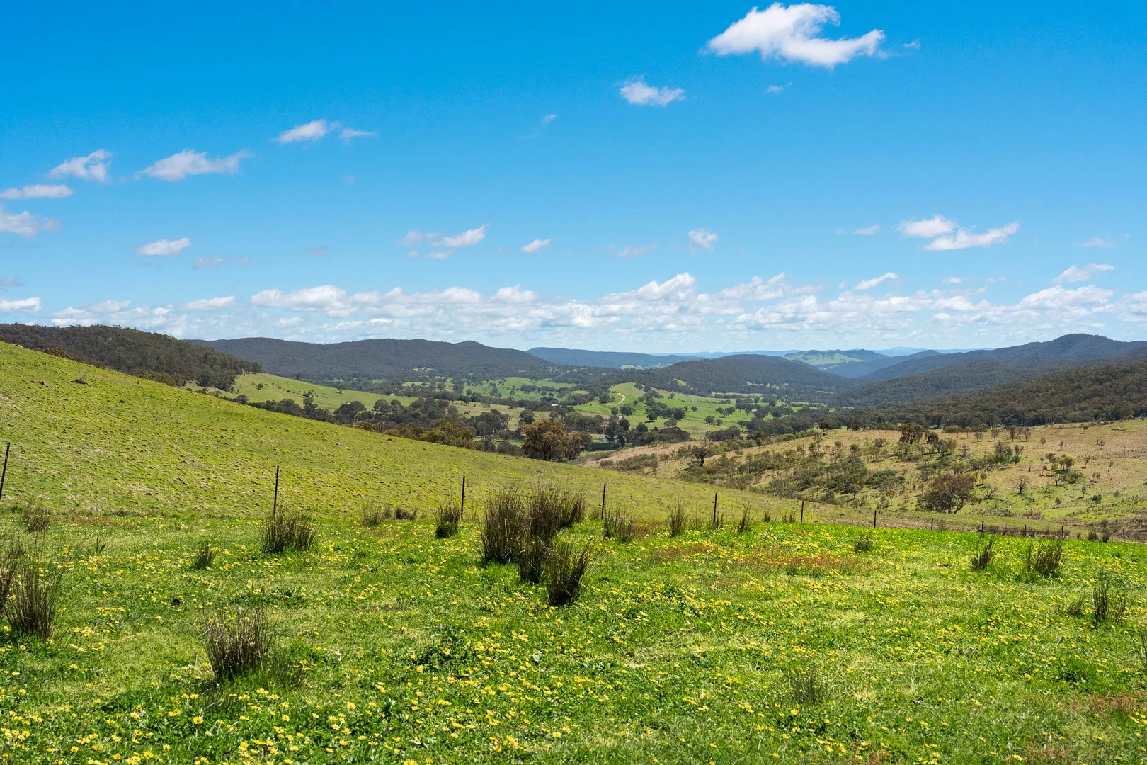 Additional image 28 of 329 Bridge Creek Road, Binda NSW 2583