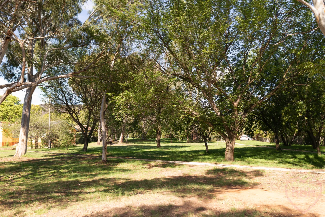 Image 31