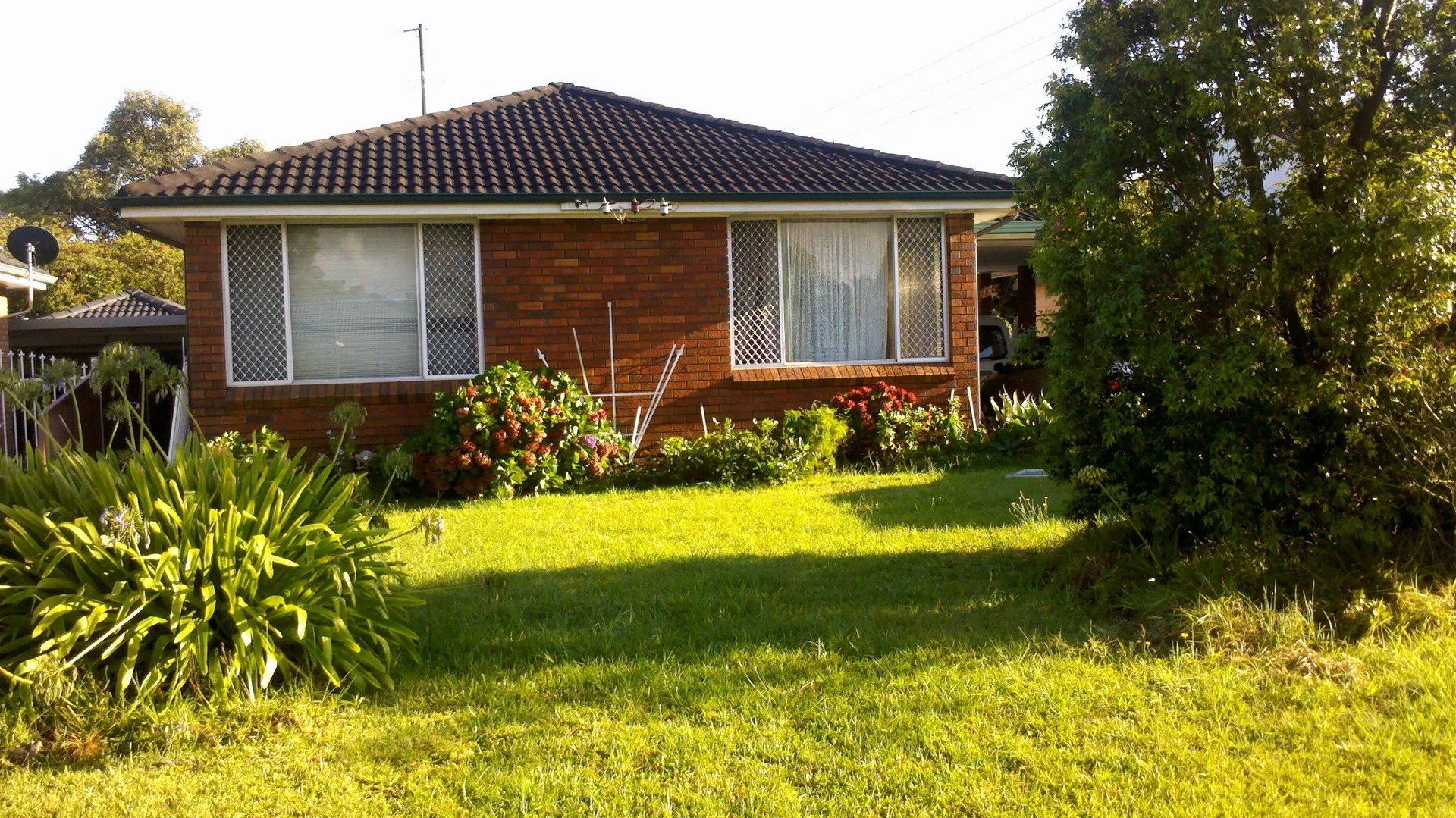 62 Cameron Street, Jesmond NSW 2299