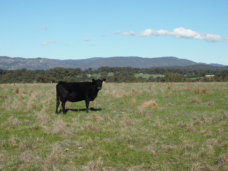 - Sungarrin Road, SEYMOUR VIC 3660, Image 2