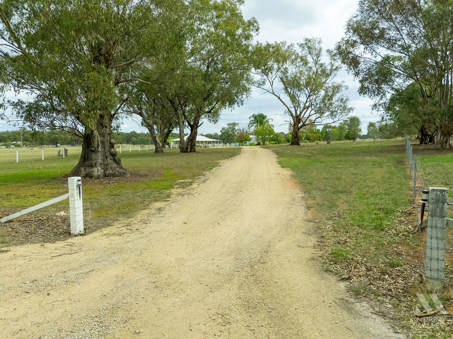 Image 14