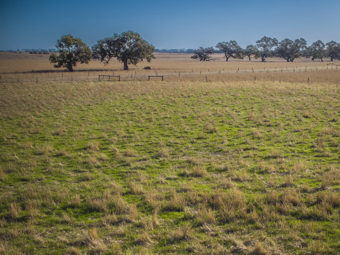Additional image 29 of 1154 Stockyard Hill Road, Stockyard Hill VIC 3373