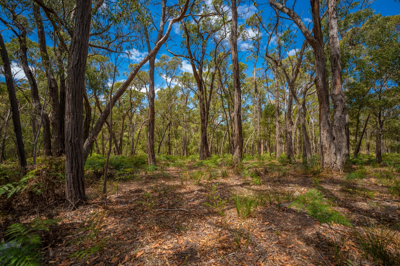 Image 11