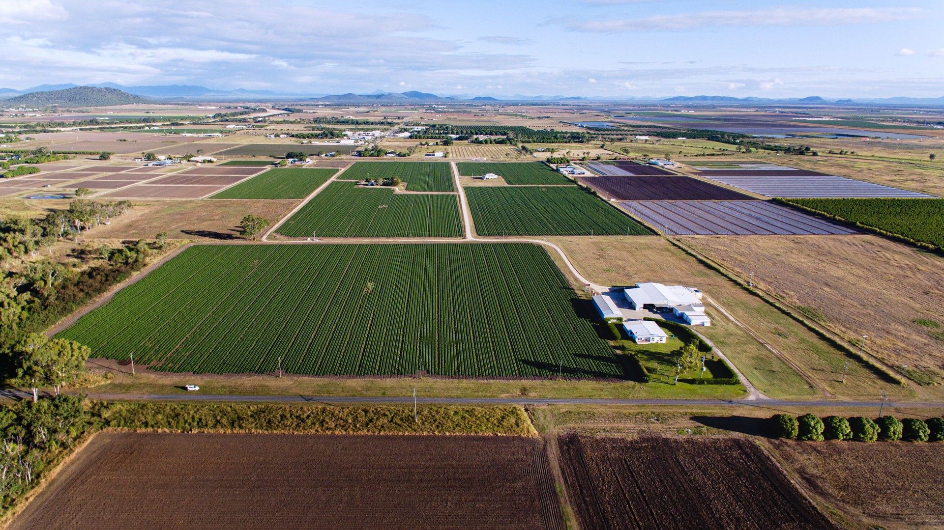 Telegraph Road, Bowen QLD 4805 Specialist Farm for Sale Domain