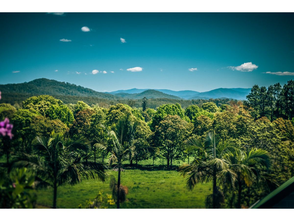 24 Hobson Close, Bellingen NSW 2454, Image 0