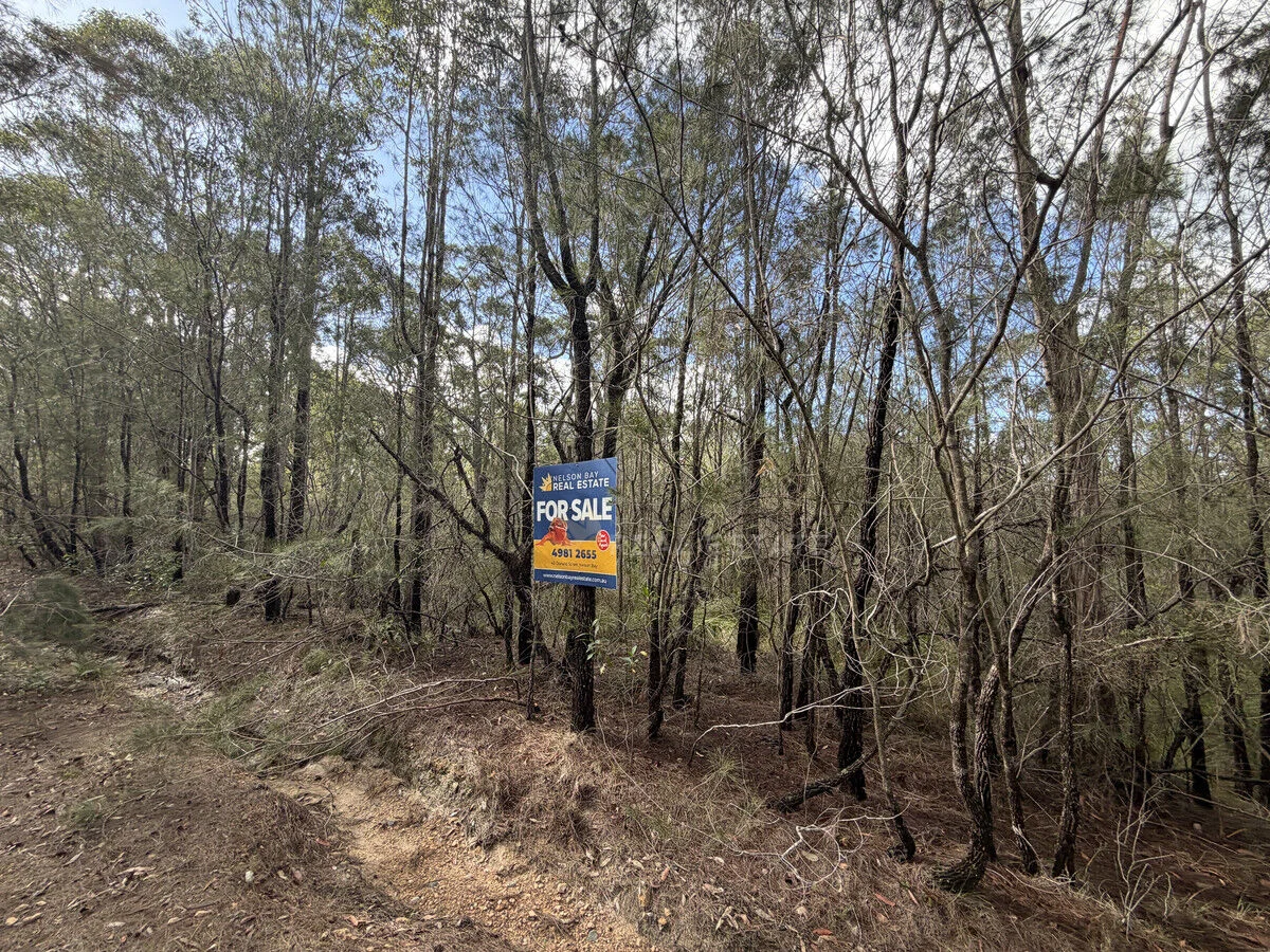 Image 7