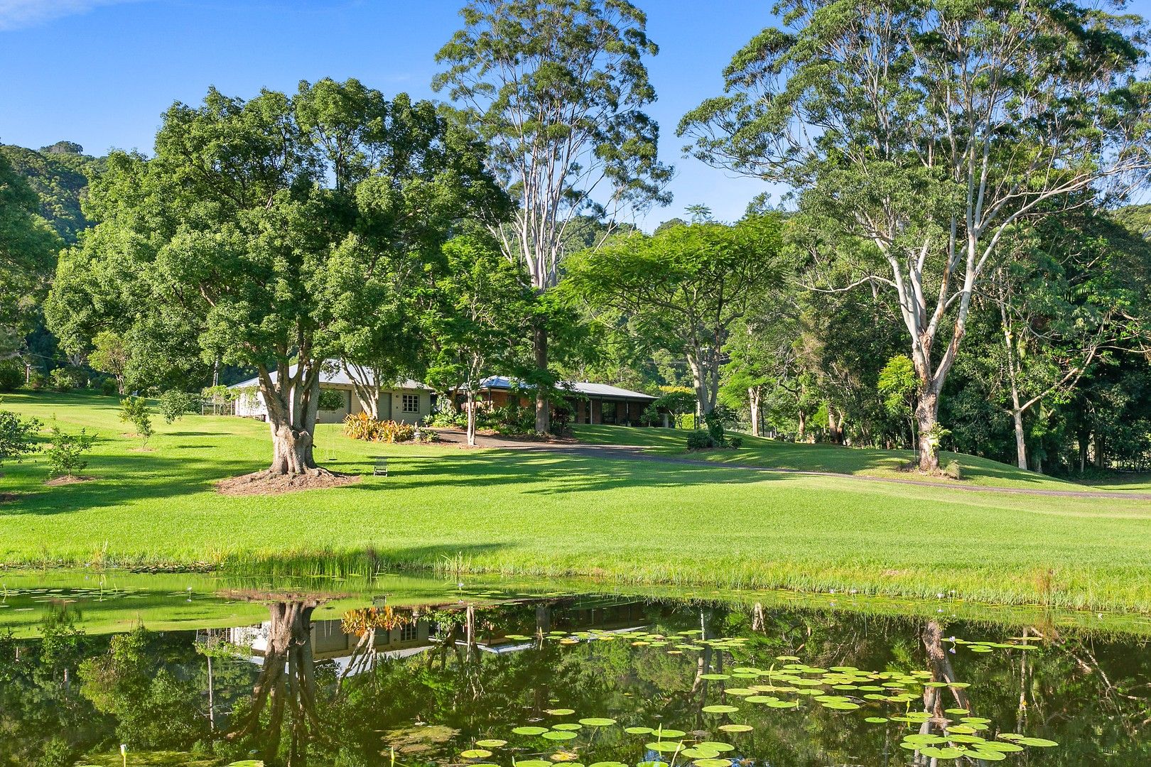 861 Dulguigan Road, North Tumbulgum NSW 2490, Image 0