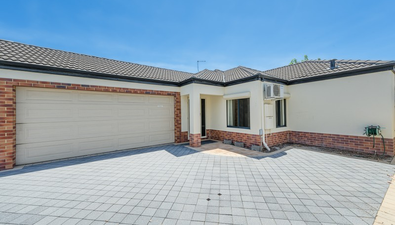 Picture of 8A McGilvray Avenue, MORLEY WA 6062