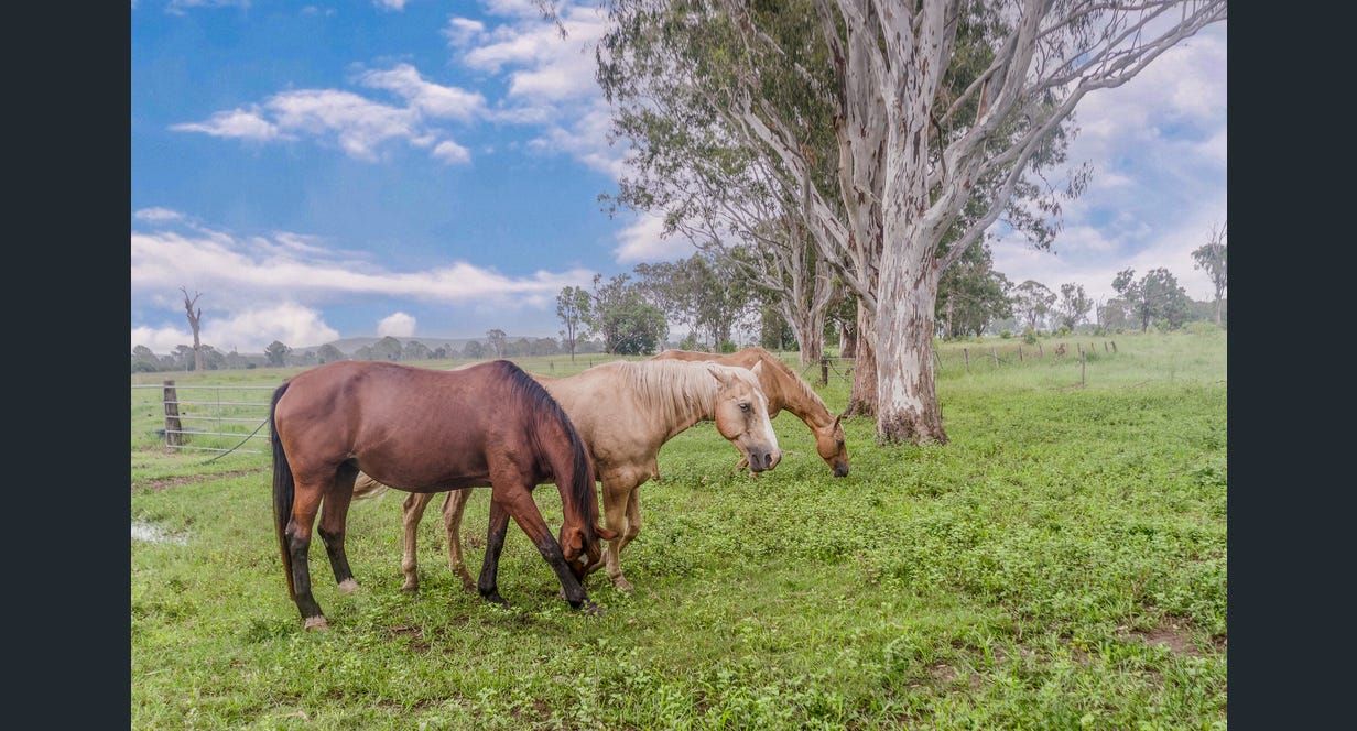 3 bedrooms House in 185 Hall Road WOODHILL QLD, 4285