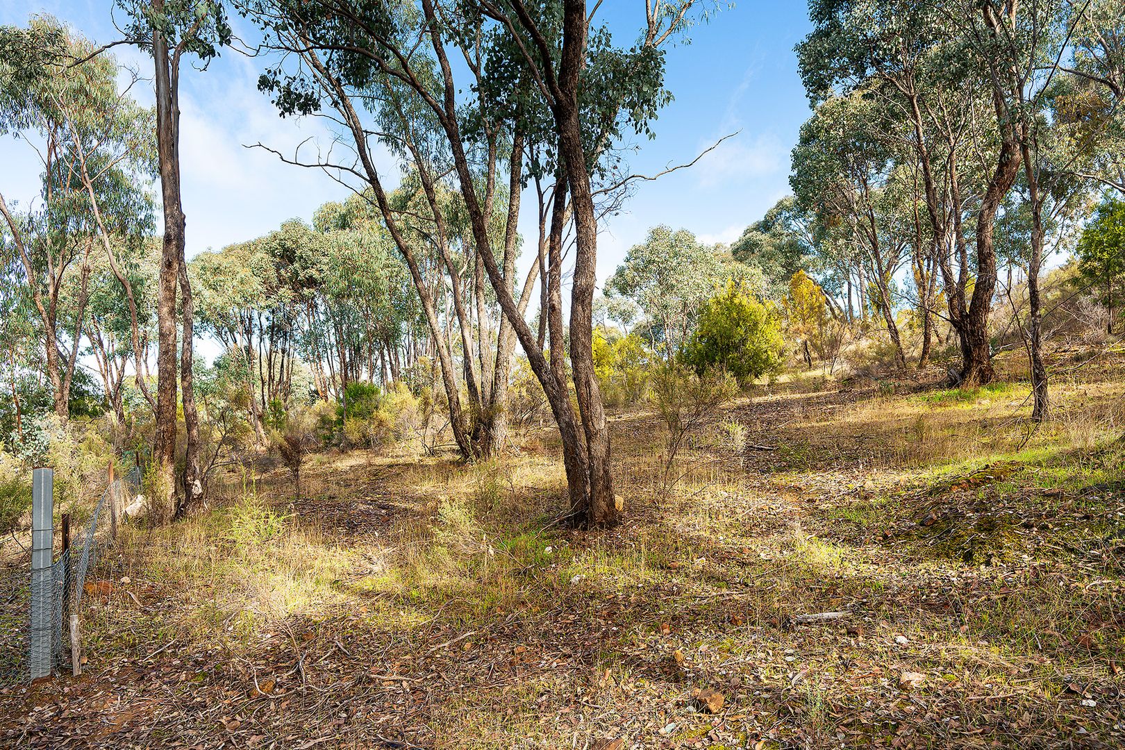 70 Ireland Street, McKenzie Hill VIC 3451 Vacant Land for Sale