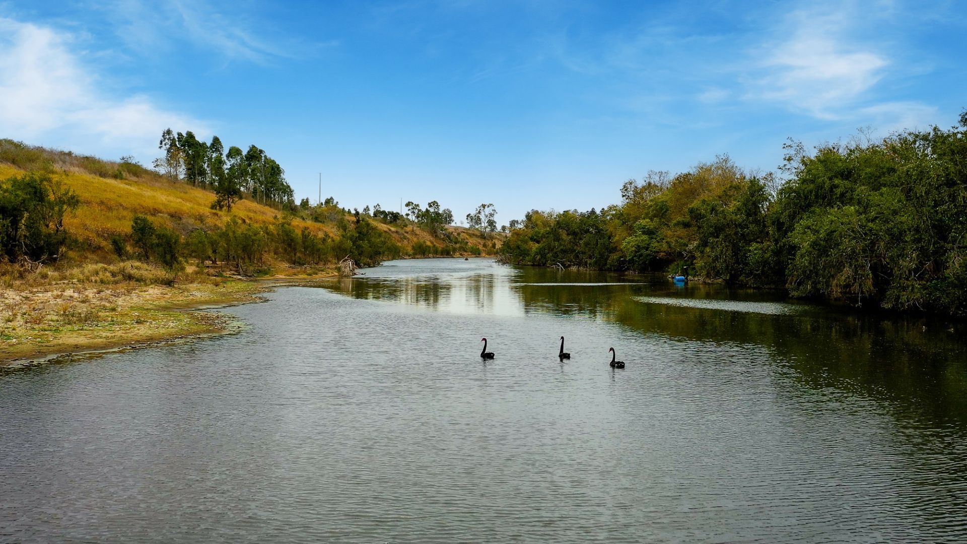 Scrub Creek QLD 4313, Image 2