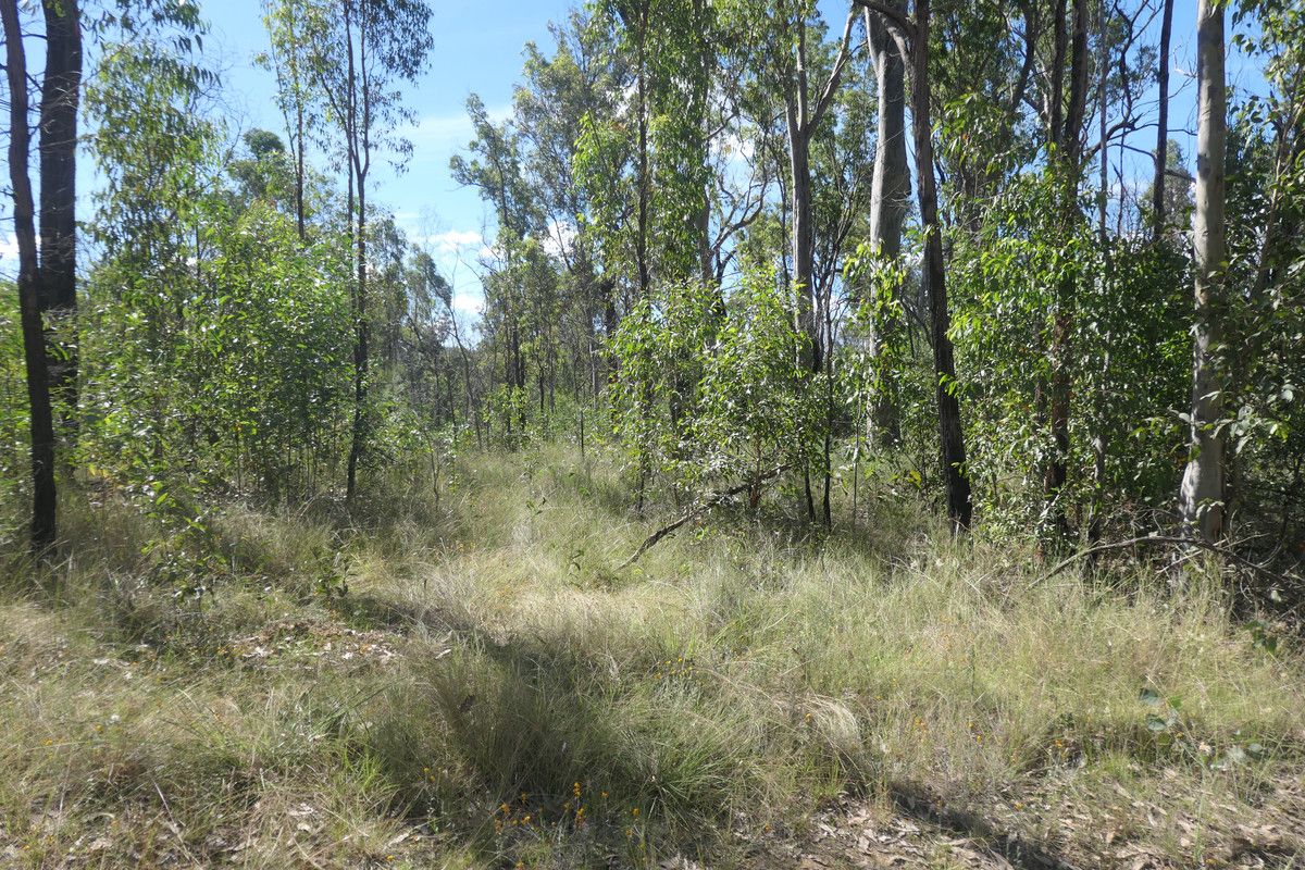 Rural in Lot 211 Bruxner Road, DRAKE NSW, 2469