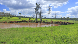 Picture of 174 Carters Road, HAWKWOOD QLD 4626