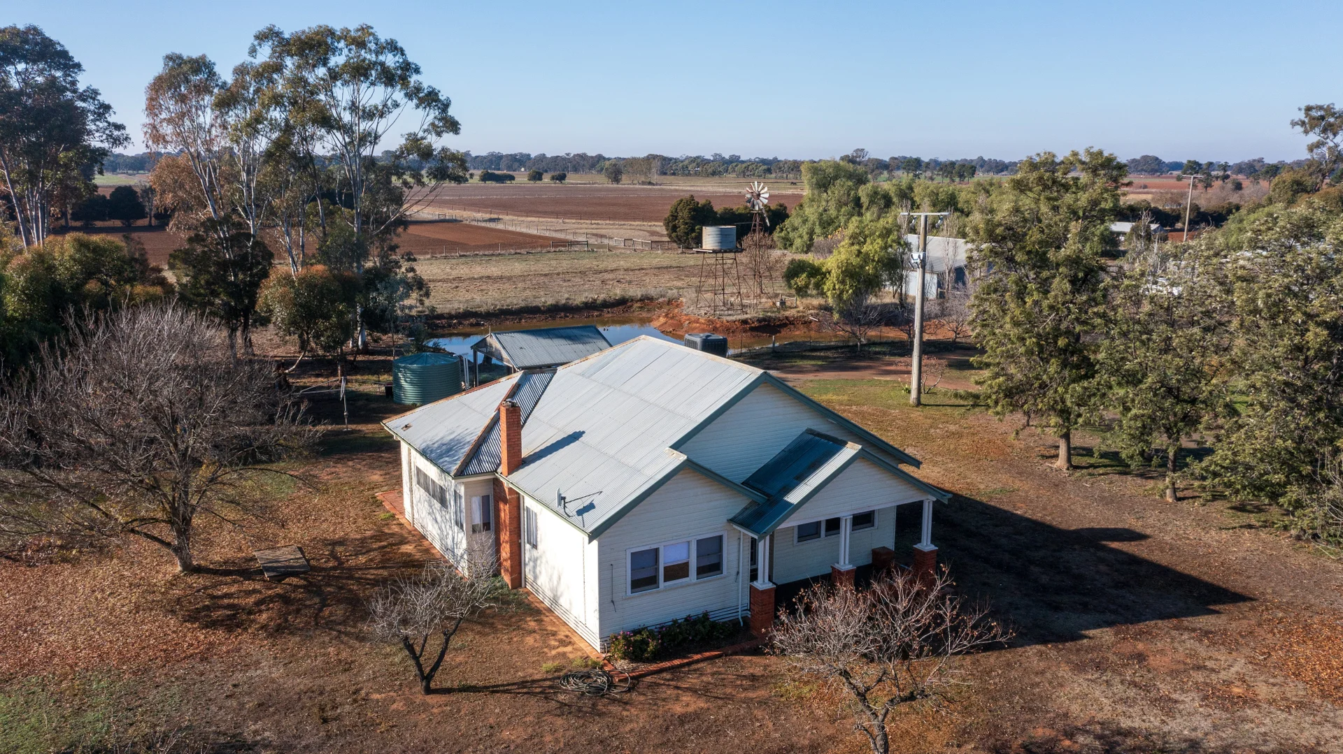 Image 15