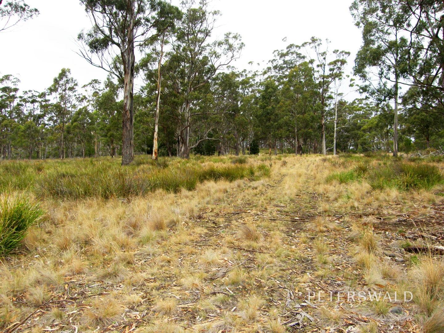 Image 14
