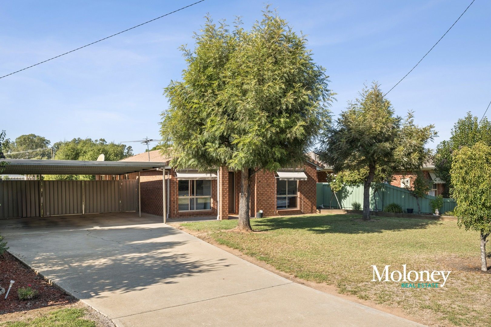 14 Martin Street, Corowa NSW 2646, Image 0