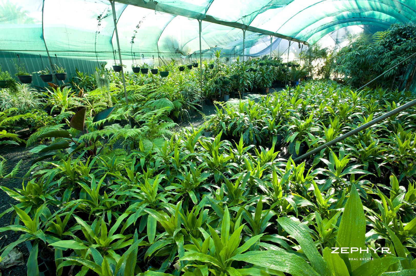 47 Hynes Road, Waterlo Property History & Address Research Domain