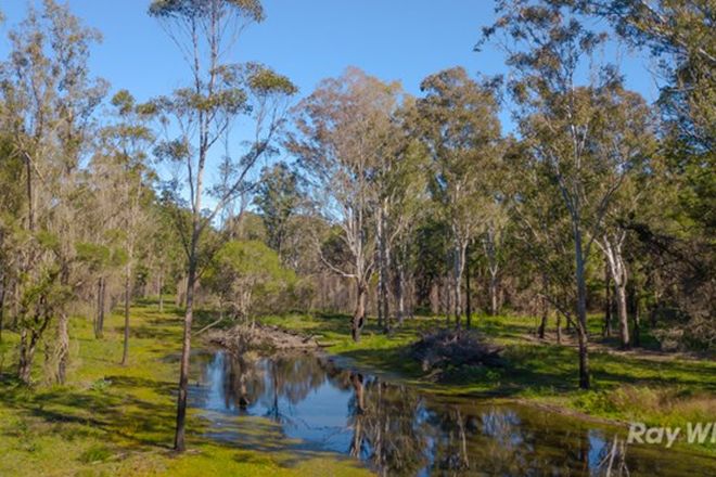 Picture of 119 Grays Road, HALFWAY CREEK NSW 2460