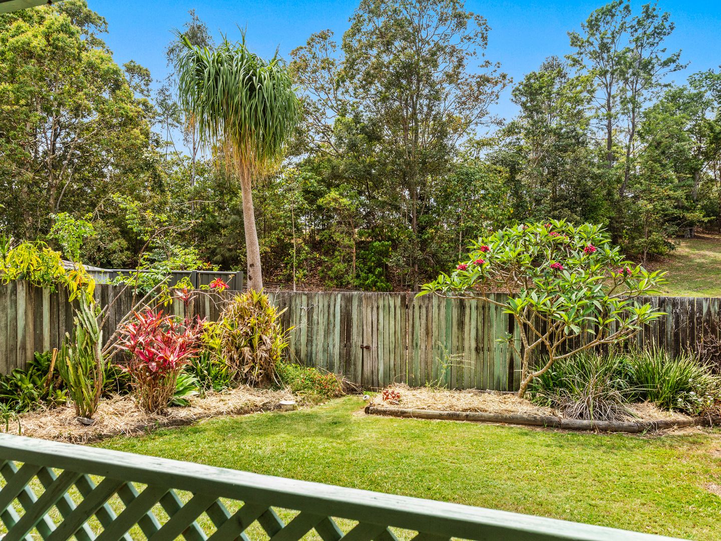 2 11 SILKY OAK COURT, Bray Park NSW 2484, Image 2