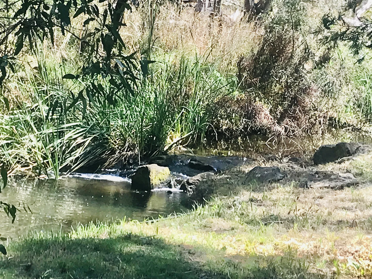 Additional image 23 of 142 Johnstone Street, Castlemaine VIC 3450