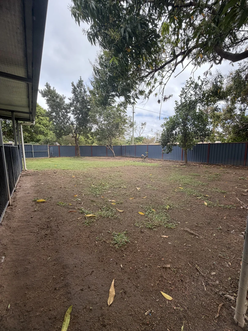 Image 25