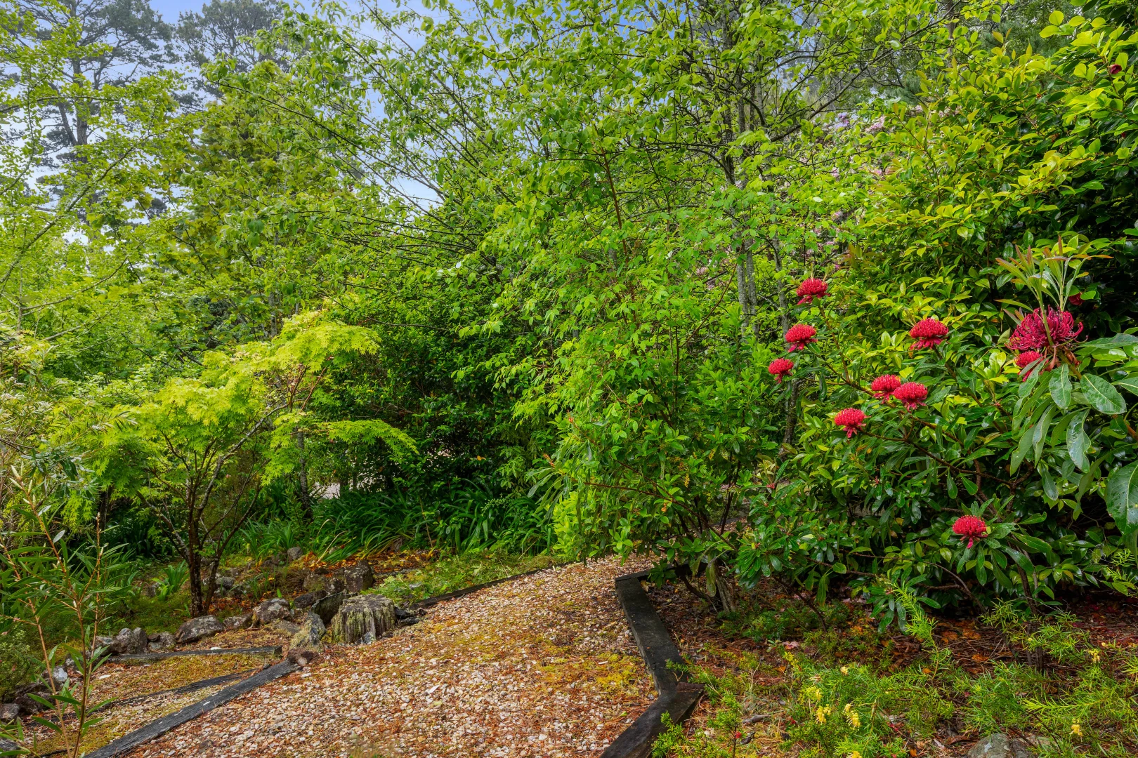 Additional image 18 of 150 Station Street, Blackheath NSW 2785