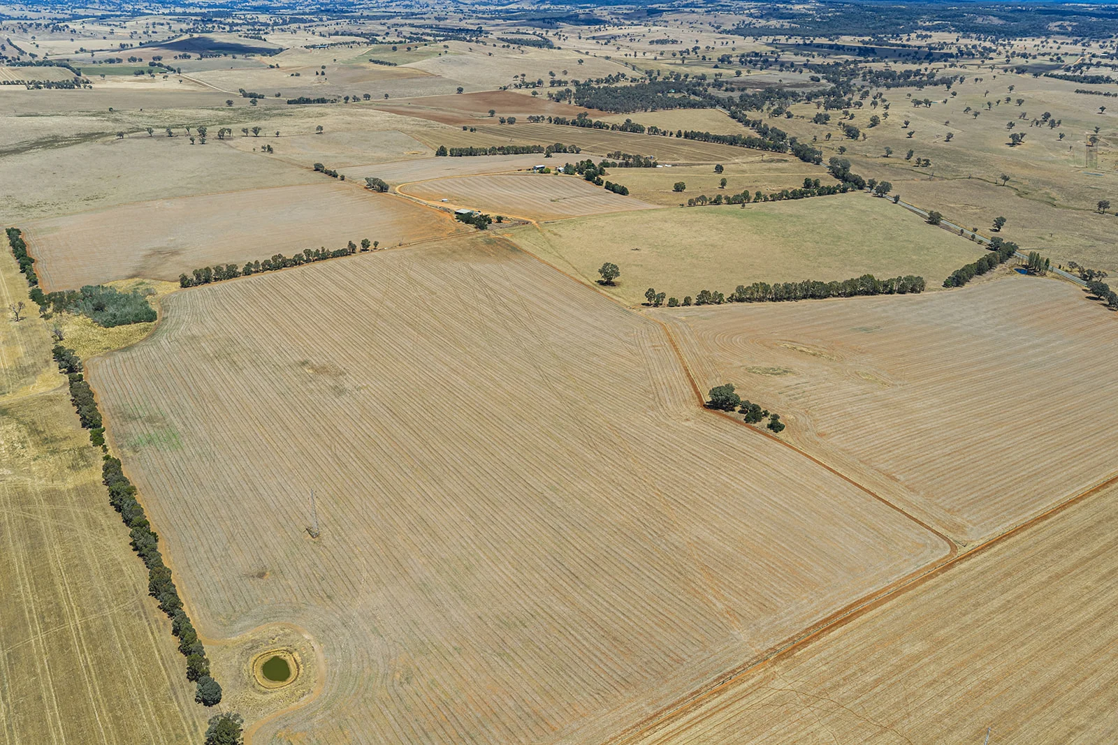 3818 Lachlan Valley Way, Godfreys Creek NSW 2586