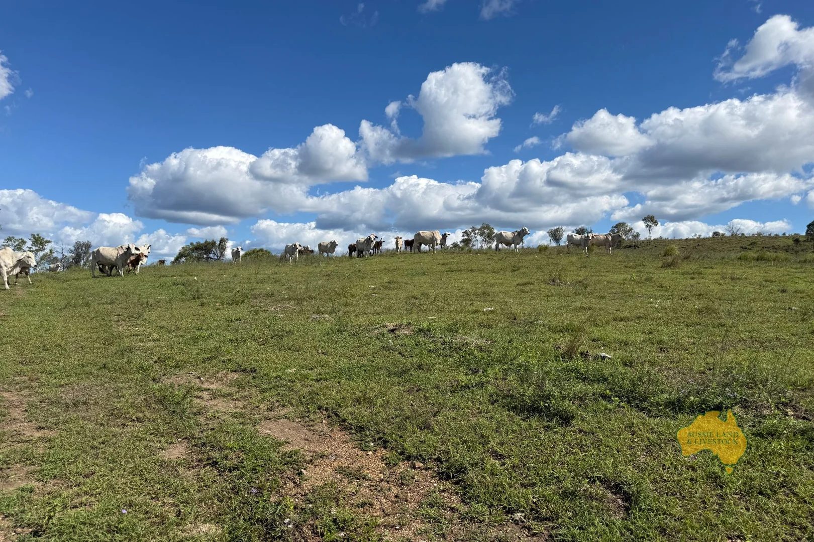 Additional image 15 of 527 KILLERS ROAD, New Moonta QLD 4671