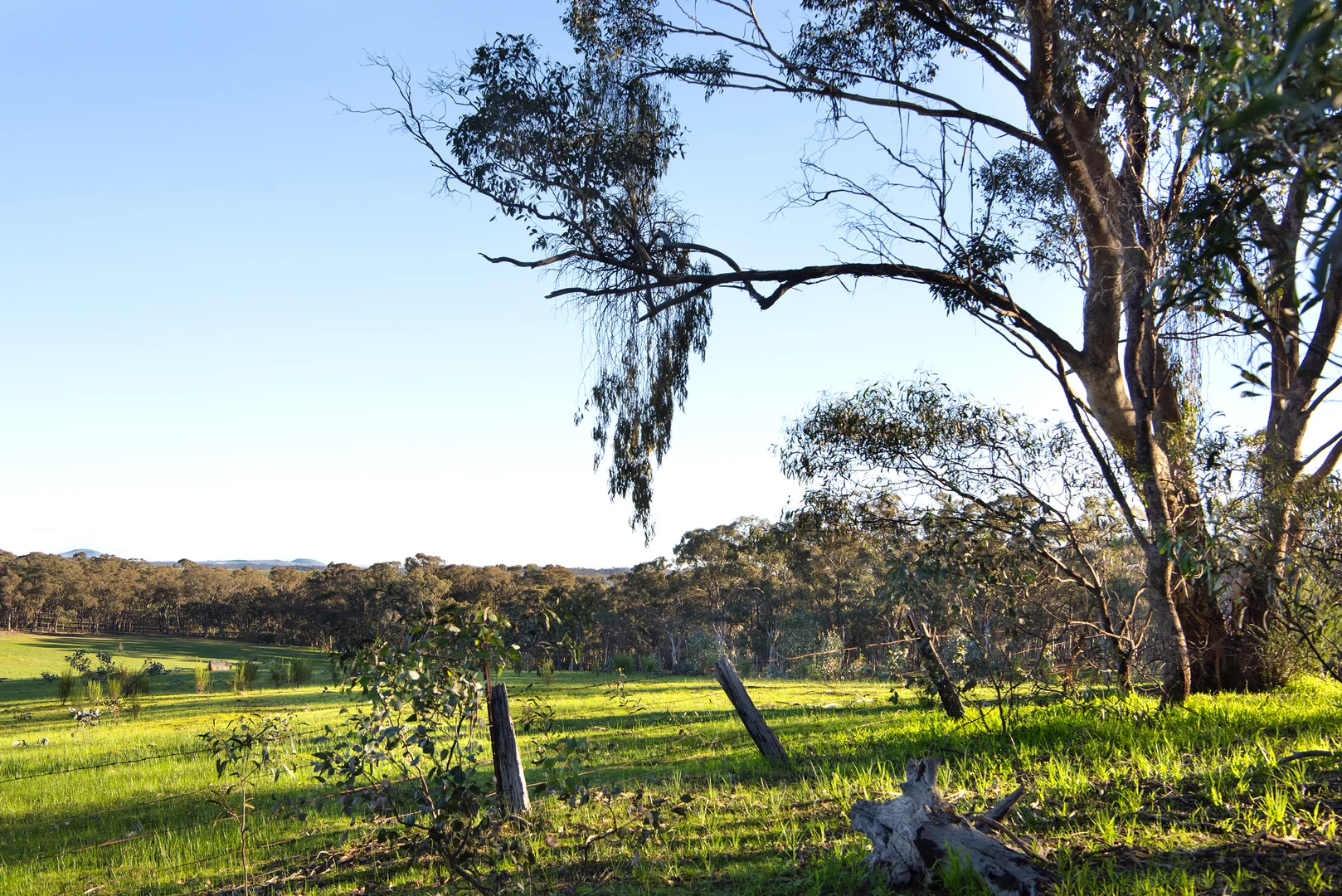 Image 17