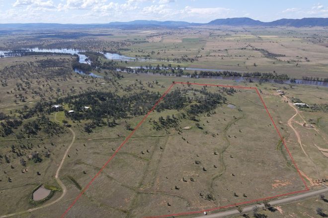 Picture of Riverlea Central Ski Gardens Road, RUSHES CREEK NSW 2346