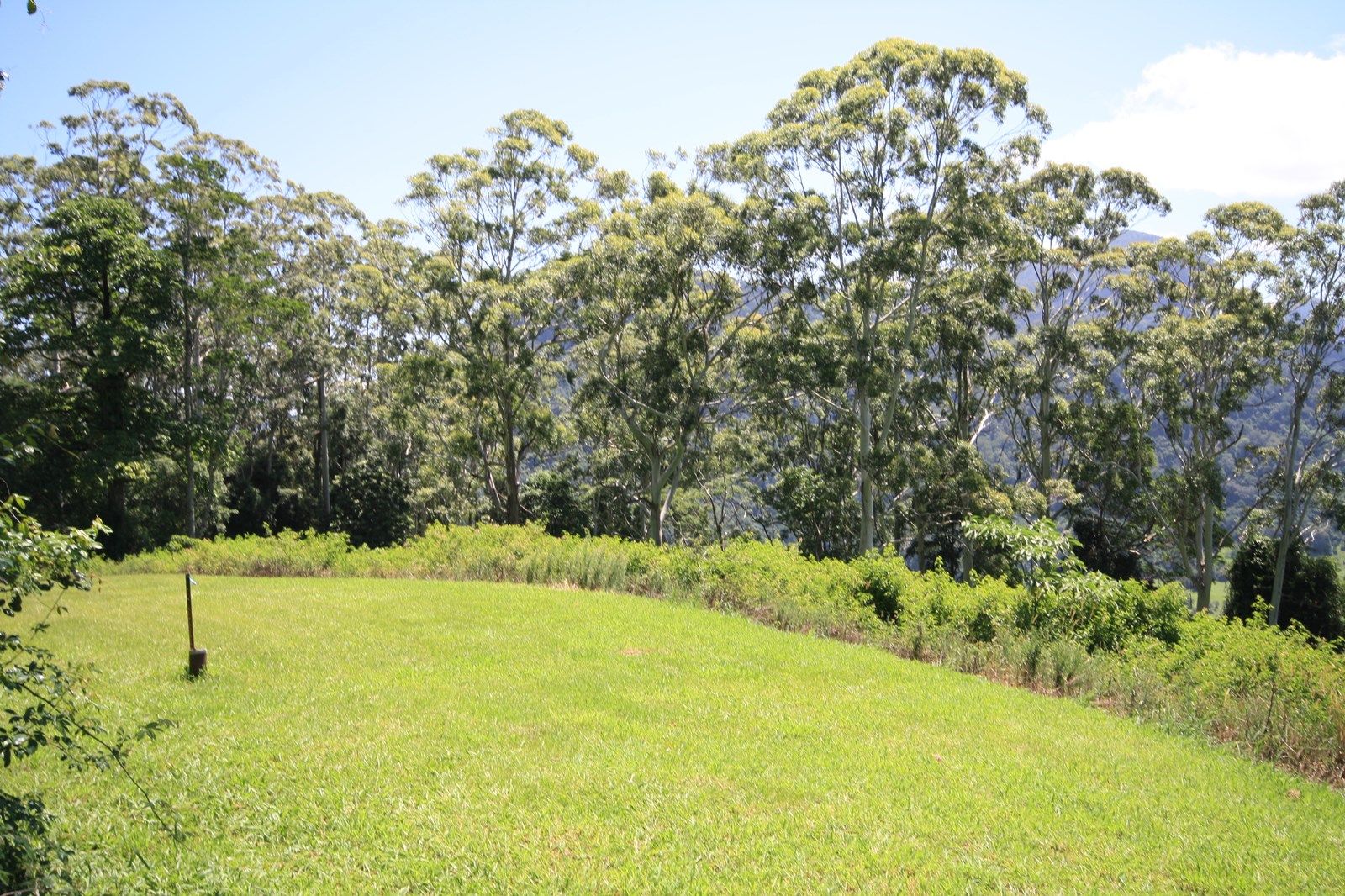 Lot 1 Numinbah Road, Numinbah NSW 2484, Image 2