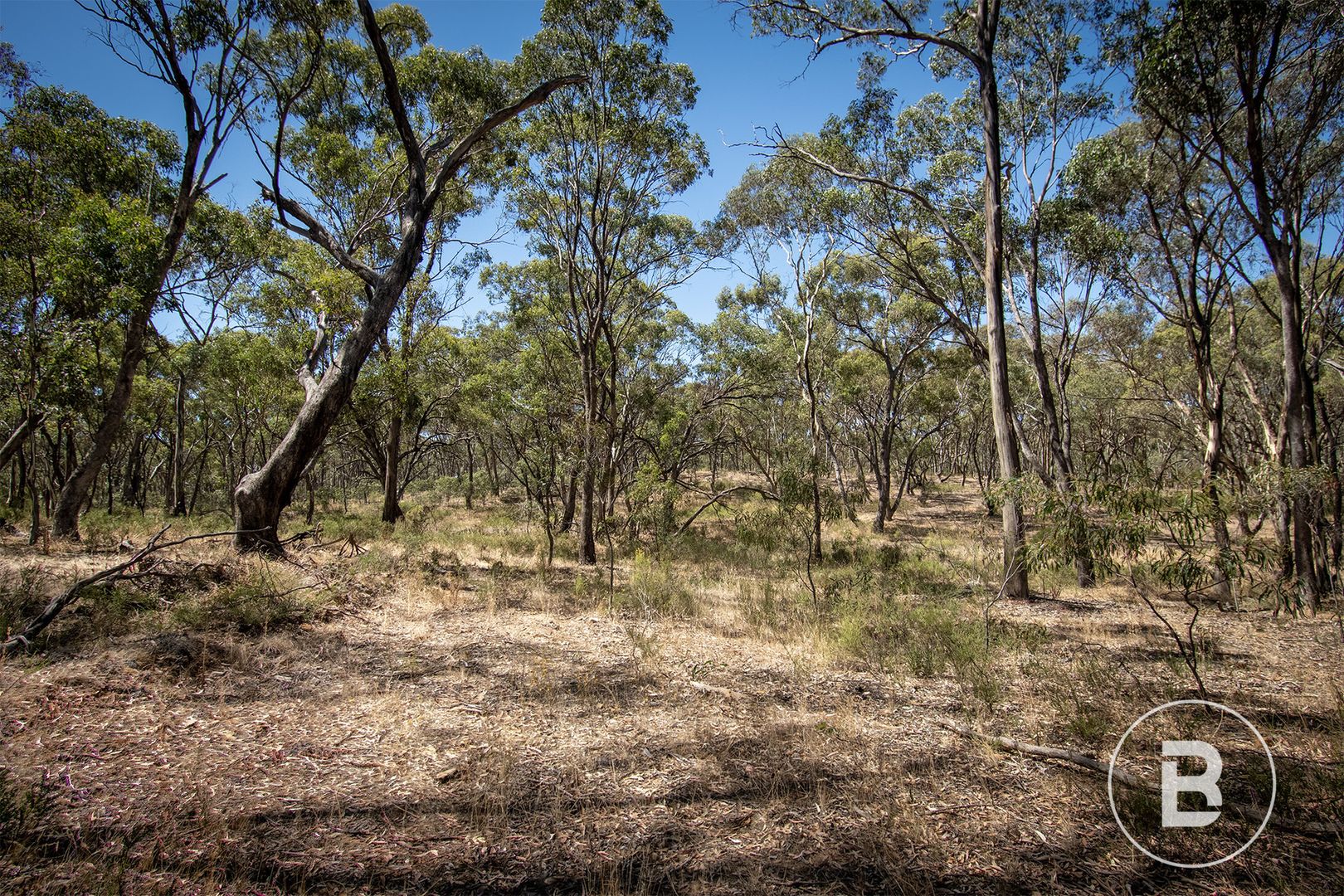 Eddington - Laanecoorie Road, Eddington VIC 3472, Image 2