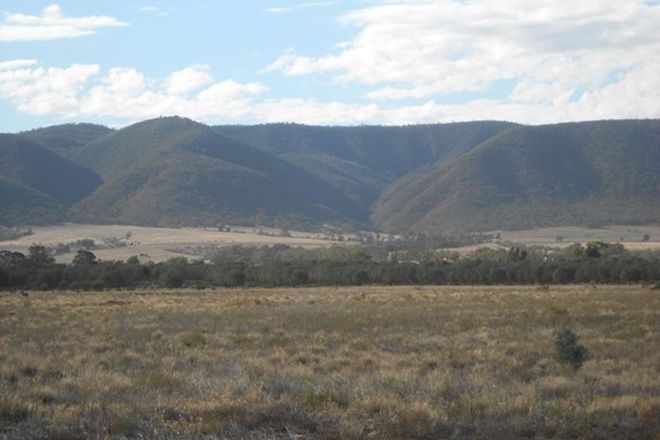 Picture of Lot 237 Olive Grove Road, NAPPERBY SA 5540