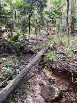 Image 14