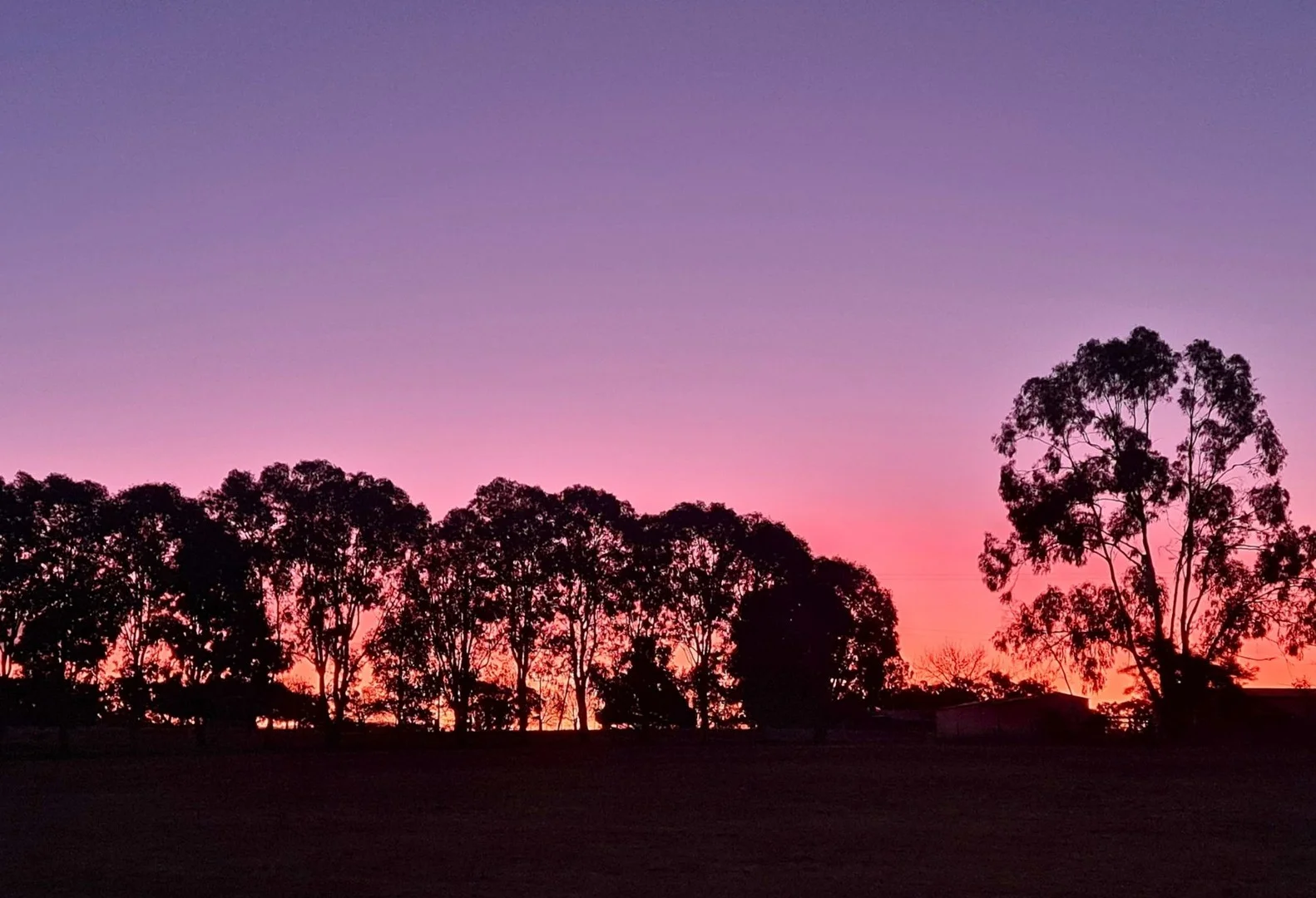 2011 Davys Plains Road, Cargo via, Orange NSW 2800